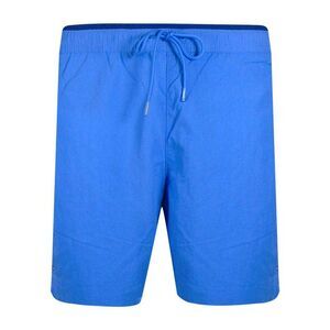Tommy Hilfiger Mens Spell Swim Shorts / Blue